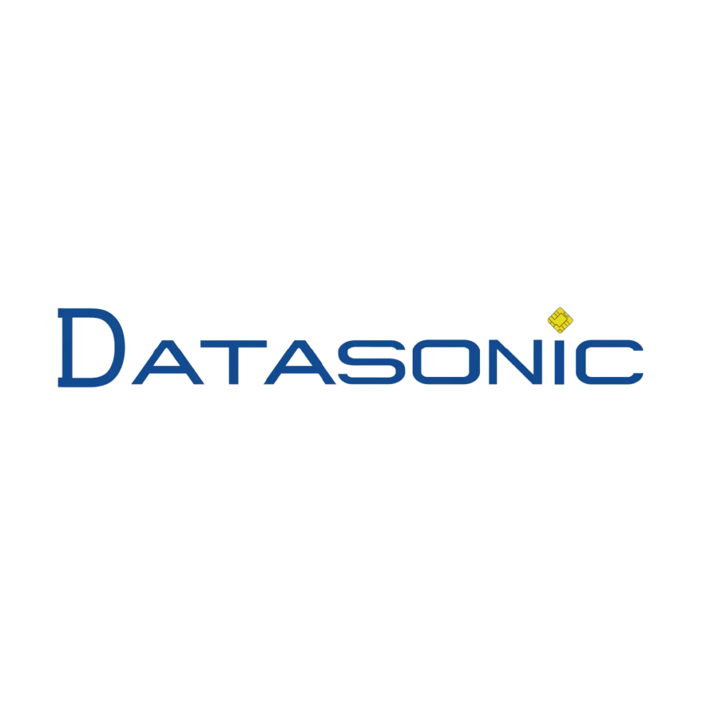 Datasonic Logo