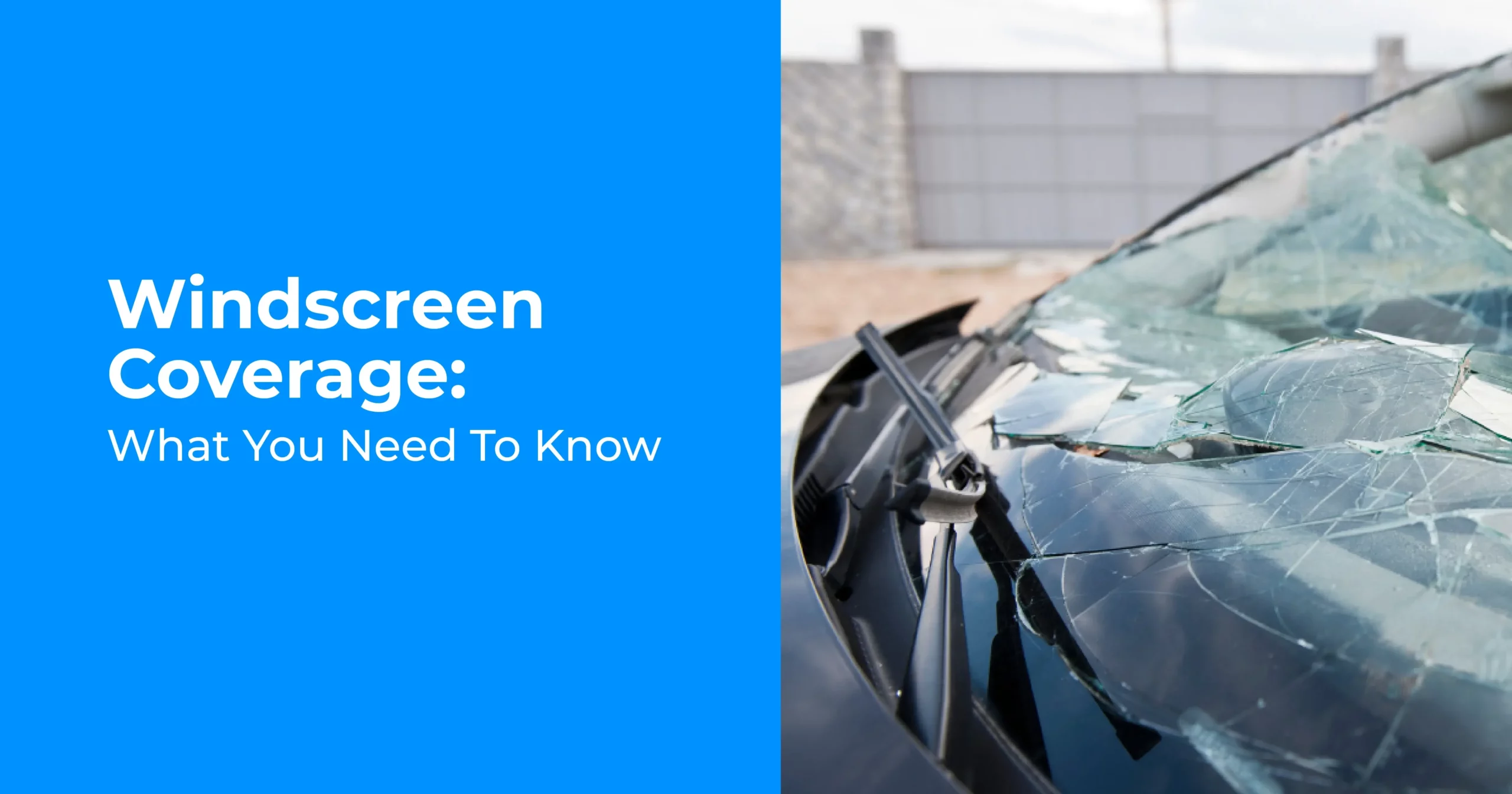 Windscreen Coverage: What You Need to Know